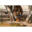 Stella Mays - Approaching The Waterhole