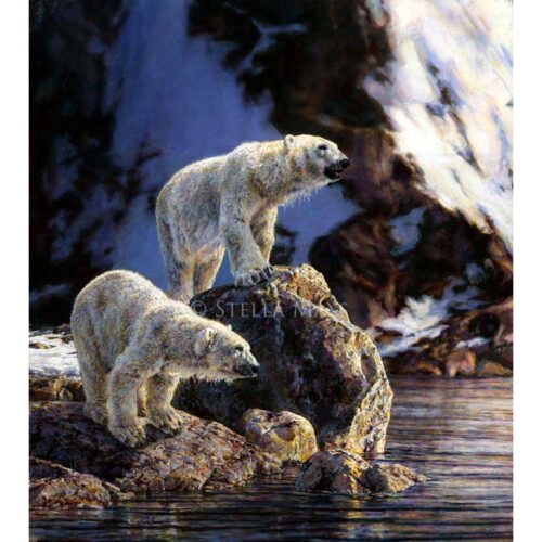 Stella Mays - Artic Summer