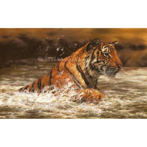 Stella Mays - Splash