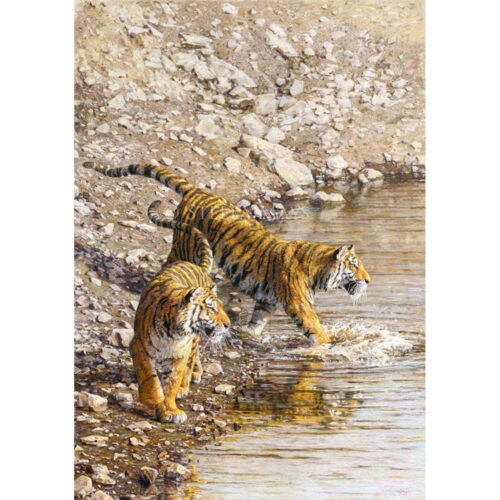 Stella Mays - The Water Trap