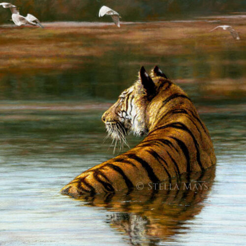 Stella Mays - Tiger and Egrets