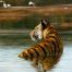 Stella Mays - Tiger and Egrets