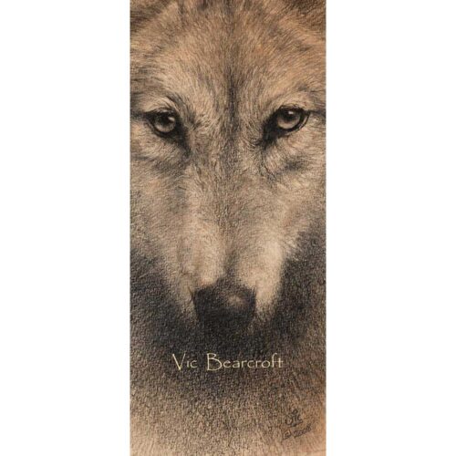 Vic Bearcroft - Amaroq