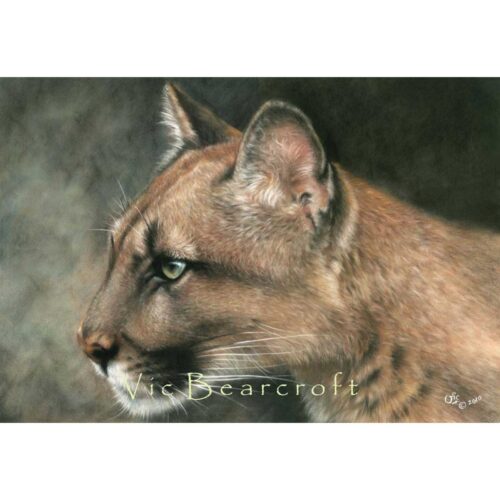 Vic Bearcroft - Ghostwalker