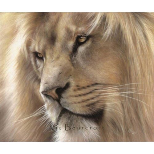 Vic Bearcroft - Manzi