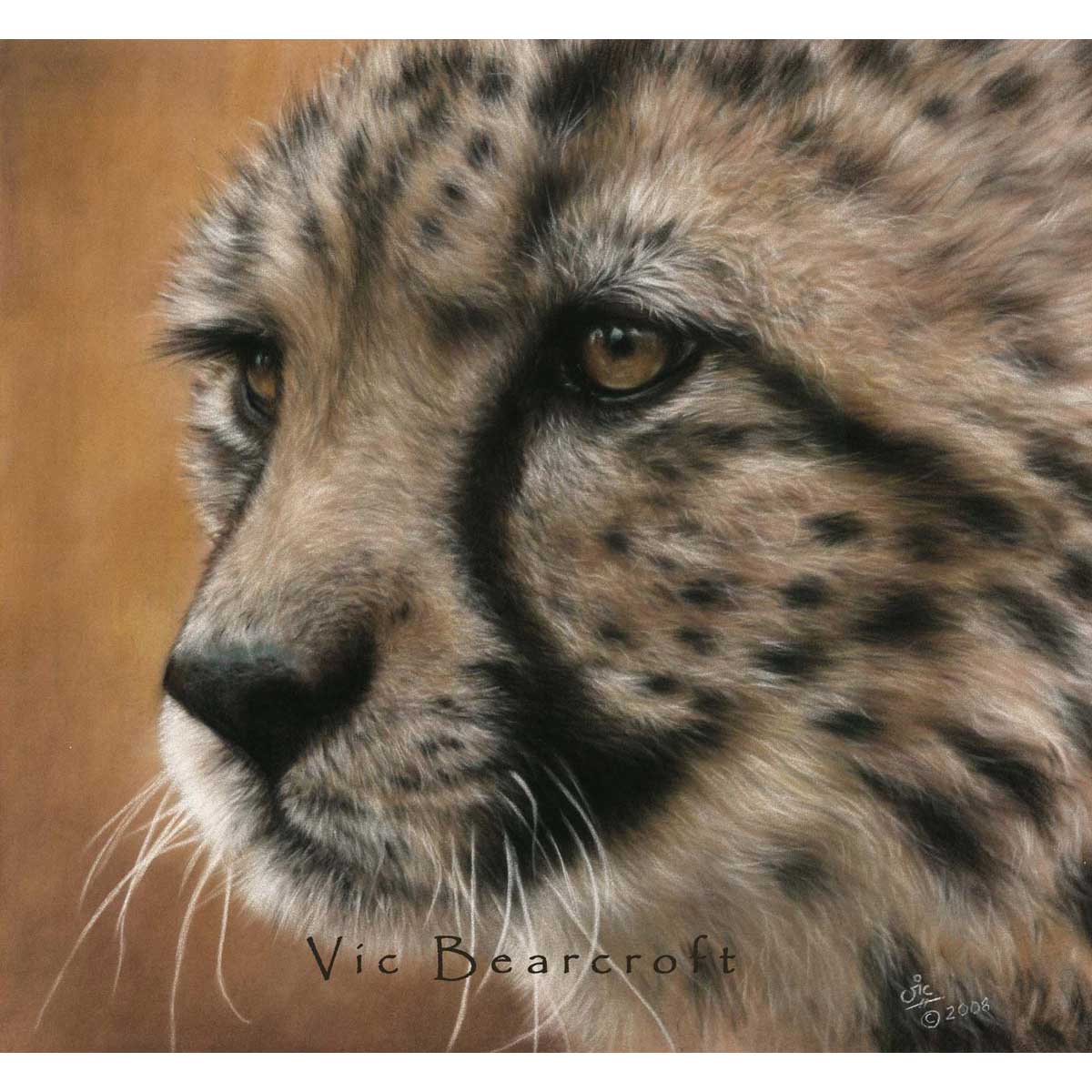 Vic Bearcroft - Mephisto
