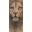 Vic Bearcroft - Simba