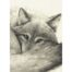 Vic Bearcroft - Contemplation