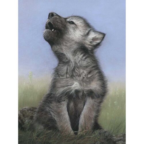 Vic Bearcroft - Little Chief