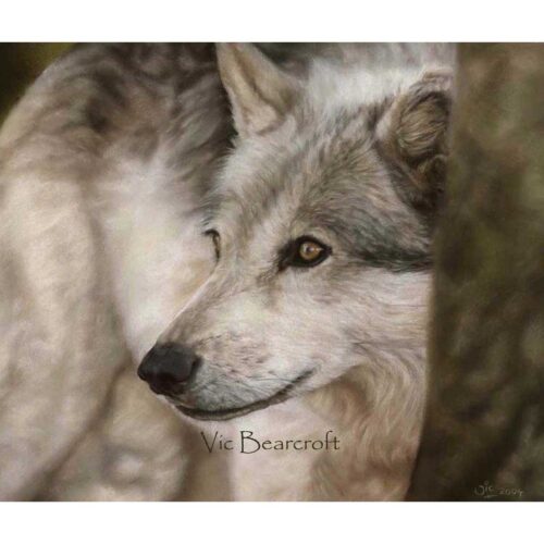 Vic Bearcroft - Vigilance
