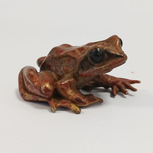 John Noble-Milner - Large common frog