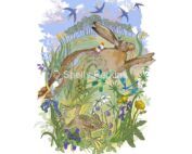 Shelly Perkins - Leaping into Spring